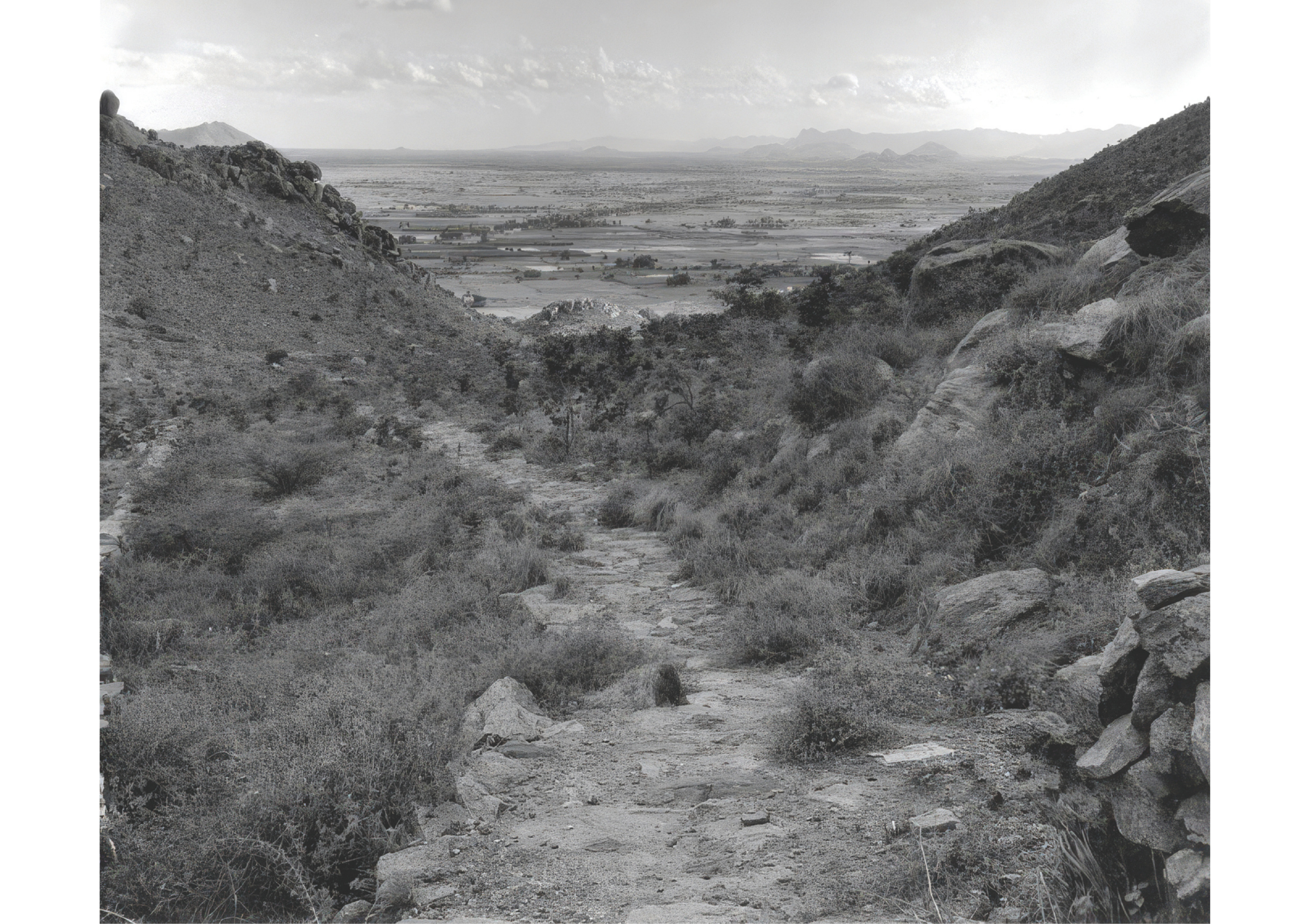 Landscape Terrain View